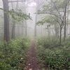 aidan_archer